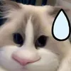 thdamkoche