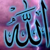 324ahmed2