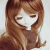 tani_sha404