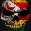 zimbabwean1980