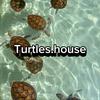 turtles.house0