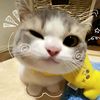 saraq_23