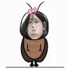 tolanhimm2