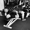 alex_sports_