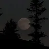 0meu_mundo0