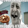 _nikita_1178