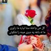 user6560901592086