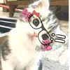 chintyy7