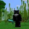 diep_h_quan2k10