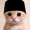 al_fkh4