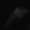 girlsloverose
