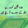 ibrarahamed33