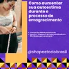 SELLBRASIL2025