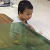 dungtrunghoang