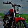 red_longish