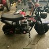 minibikerider8