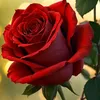 user5719811458432