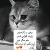 user3087612700816