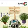 zizouahmed367