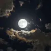 themoon