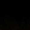 thur_csar