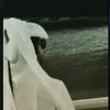 yt___223
