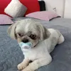 cristian.olariu77