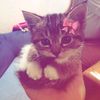 kristixxx_7108