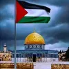 .kata74