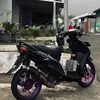 molly_jnd