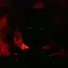 ar1ctokratix