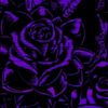 adanely_alv