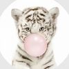 hellokittylover.871