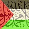 fateh.hammadi5