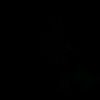ddhgf_2941jdsk682jzss