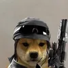 op_viola