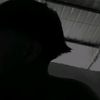 alex_ofc107