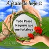 carvalho6517