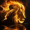 mrhabib.1