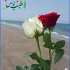 nona.nona9967