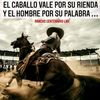 user966303500781