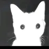 komaev13