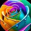 sadam.khan4106