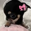 ashlee38326