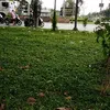 user5951163723221