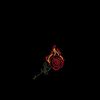metalegg96