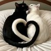 whiskerwishes.1