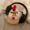 katt_845