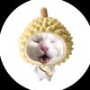 slsa_sukayapping