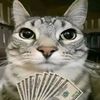 am_krazy_editor